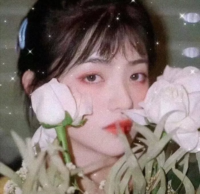 红尘