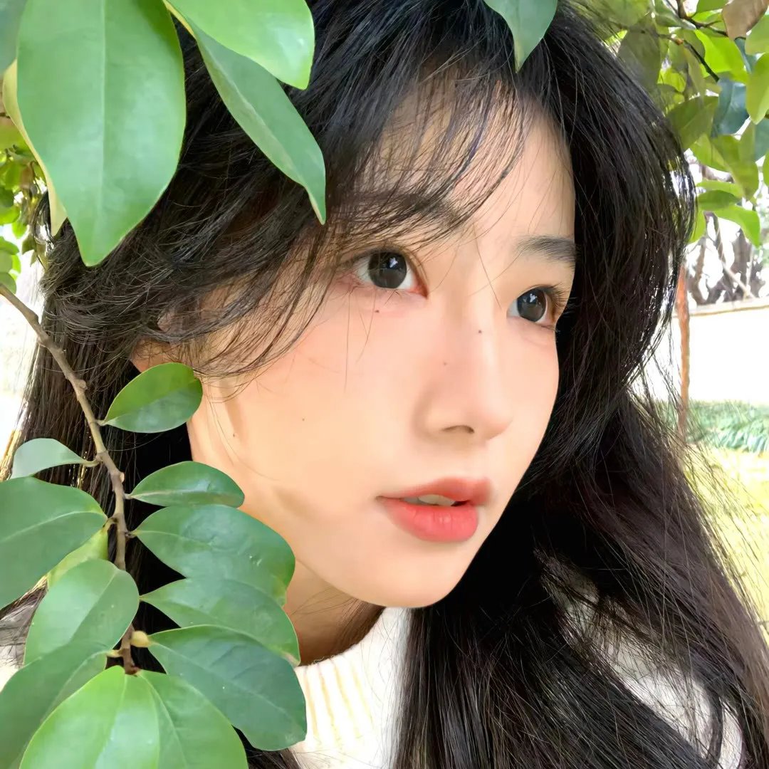 青春儿女