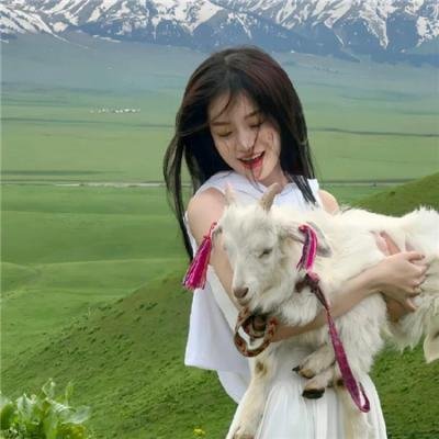 小谢尔顿第四季